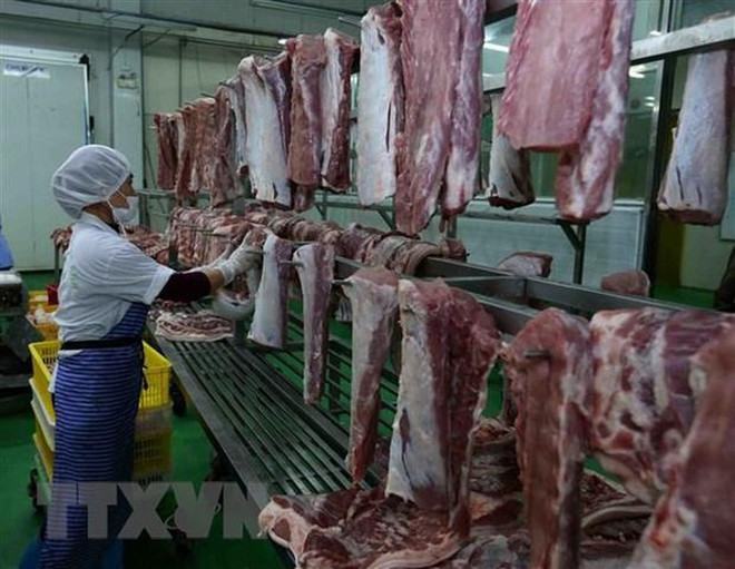 Des solutions pour lutter contre la peste porcine africaine discutées ảnh 1 Des solutions pour lutter contre la peste porcine africaine discutées ảnh 1