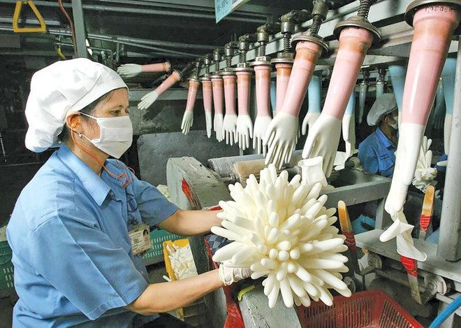 Le plus grand fabricant de gants du monde ouvrira sa première usine au Vietnam ảnh 1 Le plus grand fabricant de gants du monde ouvrira sa première usine au Vietnam ảnh 1