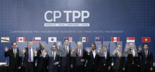 Le CPTPP profite énormément aux entreprises vietnamiennes ảnh 1 Le CPTPP profite énormément aux entreprises vietnamiennes ảnh 1