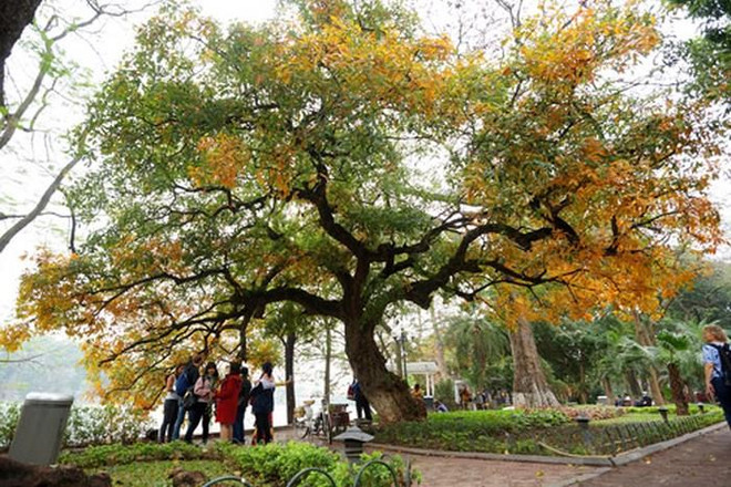 15 courts métrages sur Hanoï diffusés sur CNN ảnh 1 15 courts métrages sur Hanoï diffusés sur CNN ảnh 1