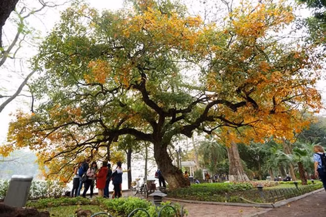 15 courts métrages sur Hanoï diffusés sur CNN ảnh 1