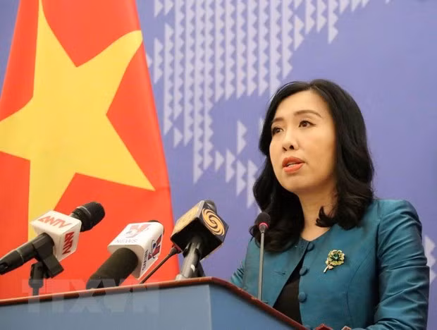  Le Vietnam résolu à lutter contre les violations de ses zones maritimes ảnh 1
