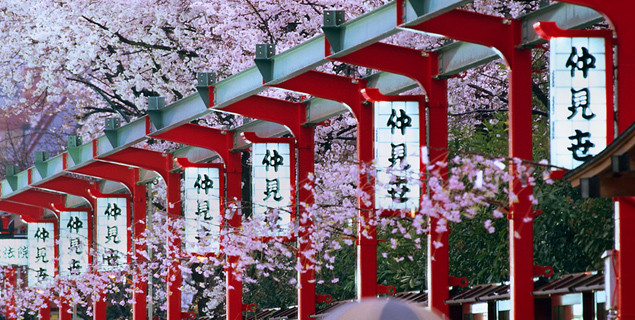 Bientôt une réunion de promotion de l’investissement et du tourisme Hanoi - Japon ảnh 1 Bientôt une réunion de promotion de l’investissement et du tourisme Hanoi - Japon ảnh 1