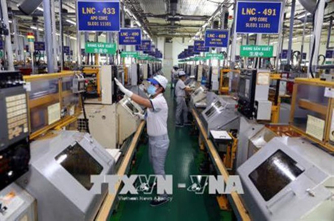 Les entreprises d'IDE émettent des idées pour la croissance de HCM-Ville ảnh 1