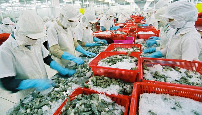 Exportations de crevettes au Japon: le Vietnam maintient sa position de leader ảnh 1
