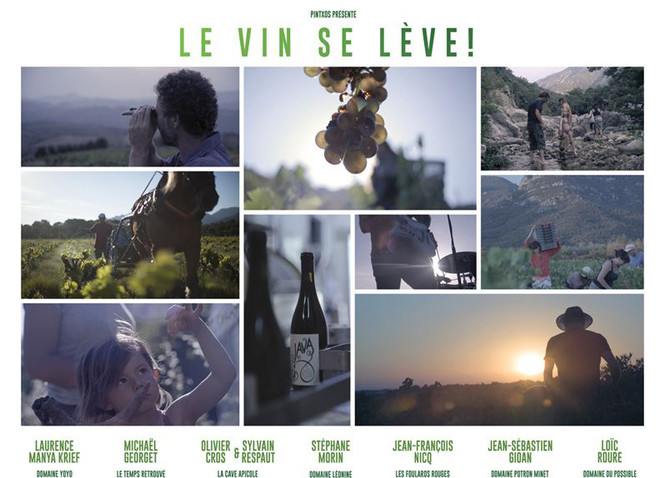 Mois du film culinaire français à Hanoï ảnh 1