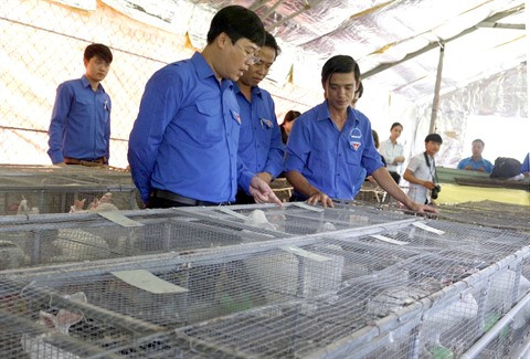  Valoriser la communauté des start-up au Vietnam ảnh 2