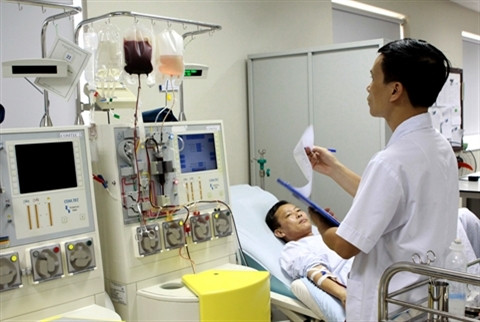 Un jeune Docteur vietnamien consacre sa vie aux cellules souches ảnh 2 Un jeune Docteur vietnamien consacre sa vie aux cellules souches ảnh 2