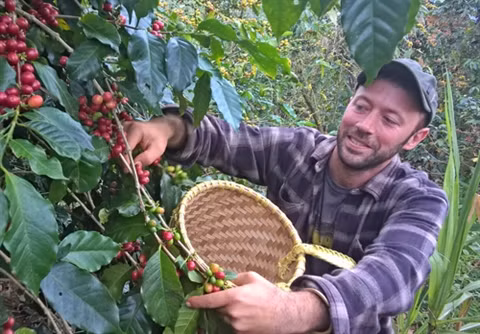 Josh et Rolan, un amour de café sur les Hauts plateaux du Centre ảnh 2