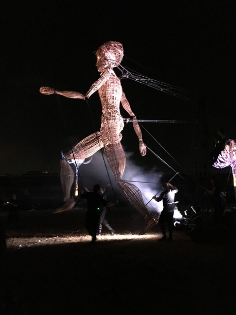 Les empreintes francophones au Festival de Huê 2016 ảnh 1 Les empreintes francophones au Festival de Huê 2016 ảnh 1