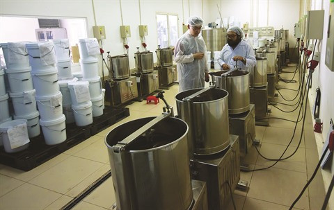 Des fèves aux tablettes, les faiseurs du chocolat de luxe au Vietnam ảnh 1 Des fèves aux tablettes, les faiseurs du chocolat de luxe au Vietnam ảnh 1