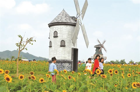 Bac Giang: un champ de fleurs de tournesols pour les fans de photos ảnh 1 Bac Giang: un champ de fleurs de tournesols pour les fans de photos ảnh 1