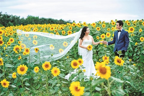 Bac Giang: un champ de fleurs de tournesols pour les fans de photos ảnh 2 Bac Giang: un champ de fleurs de tournesols pour les fans de photos ảnh 2