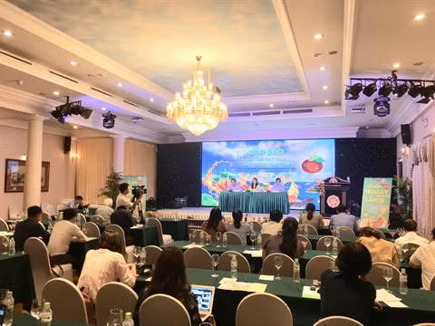 Bientôt le 15e Festival des fruits du Sud ảnh 1