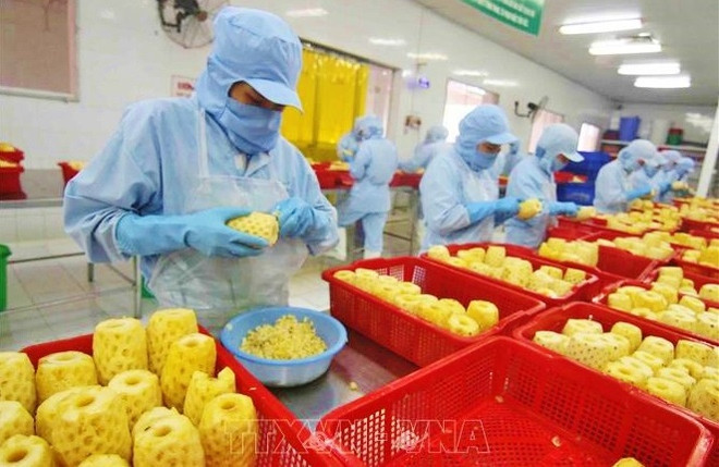 Le Vietnam vise le top 10 mondial de la transformation agricole ảnh 1 Le Vietnam vise le top 10 mondial de la transformation agricole ảnh 1
