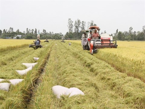 Presse argentine : l'agriculture vietnamienne bénéficiera du TPP ảnh 1