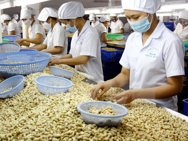 Hausse des exportations de produits agricoles, sylvicoles et aquacoles en sept mois ảnh 1 Hausse des exportations de produits agricoles, sylvicoles et aquacoles en sept mois ảnh 1