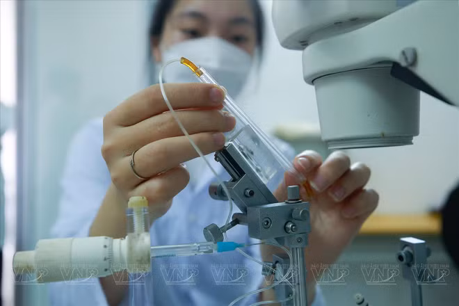 L’apiculture vietnamienne se branche sur le high-tech ảnh 3