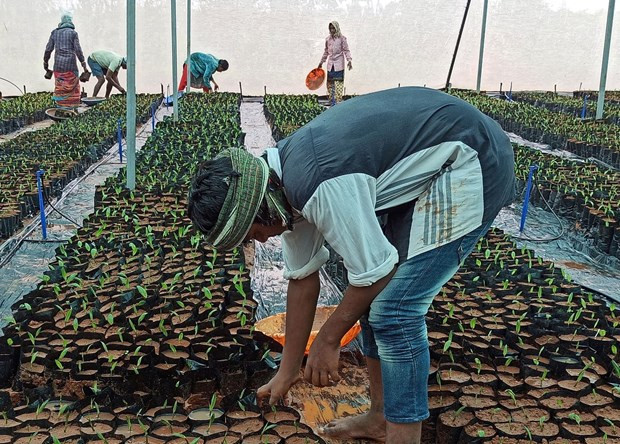 Malaisie : décaissement plus de 4 milliards de dollars pour un programme de soutien salarial ảnh 1 Malaisie : décaissement plus de 4 milliards de dollars pour un programme de soutien salarial ảnh 1