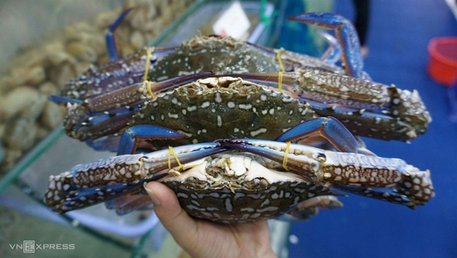 Les exportations de crabe en forte augmentation après 2 ans de Covid-19 ảnh 1