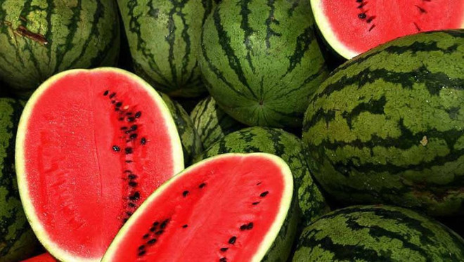 La pastèque vietnamienne autorisée à l'exportation en Chine ảnh 1
