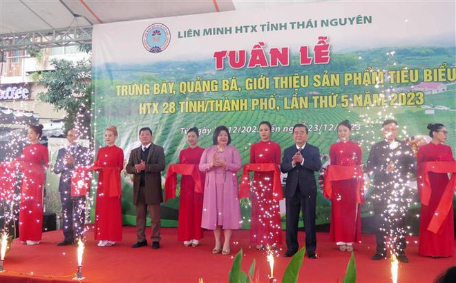 Présentation de produits OCOP de 28 villes et provinces à Thai Nguyen ảnh 1 Présentation de produits OCOP de 28 villes et provinces à Thai Nguyen ảnh 1