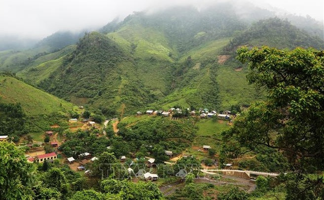 Opportunités et défis du Vietnam dans la vente des crédits de carbone forestier ảnh 1