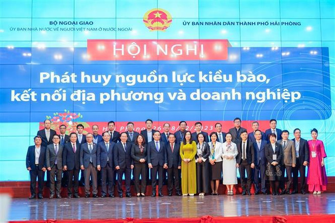 Promouvoir les ressources des Viet-kieu au menu d’une réunion à Hai Phong ảnh 2