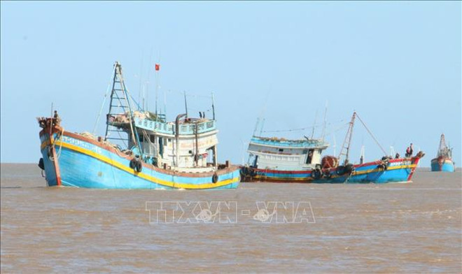 Ben Tre contribue aux efforts communs de lutter contre la pêche INN ảnh 1 Ben Tre contribue aux efforts communs de lutter contre la pêche INN ảnh 1