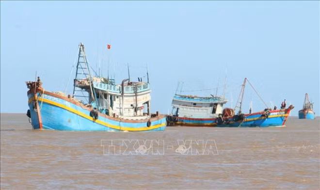 Ben Tre contribue aux efforts communs de lutter contre la pêche INN ảnh 1 Ben Tre contribue aux efforts communs de lutter contre la pêche INN ảnh 1