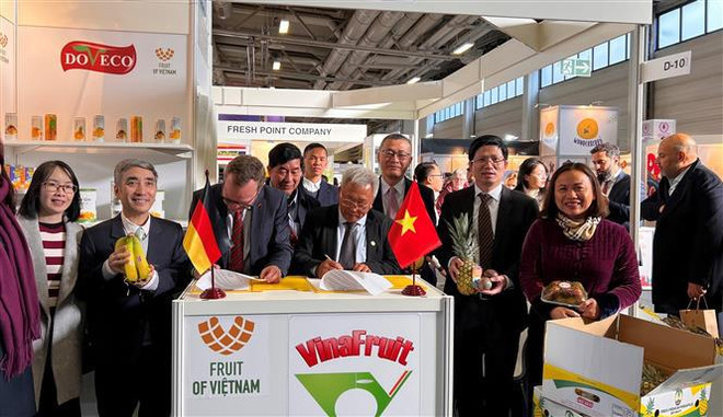 Des entreprises vietnamiennes au Fruit Logistica 2023 à Berlin ảnh 1 Des entreprises vietnamiennes au Fruit Logistica 2023 à Berlin ảnh 1