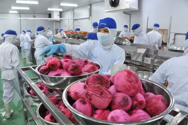 L'EVFTA aide le Vietnam à augmenter ses exportations des dizaines de mlds de dollars chaque année ảnh 2