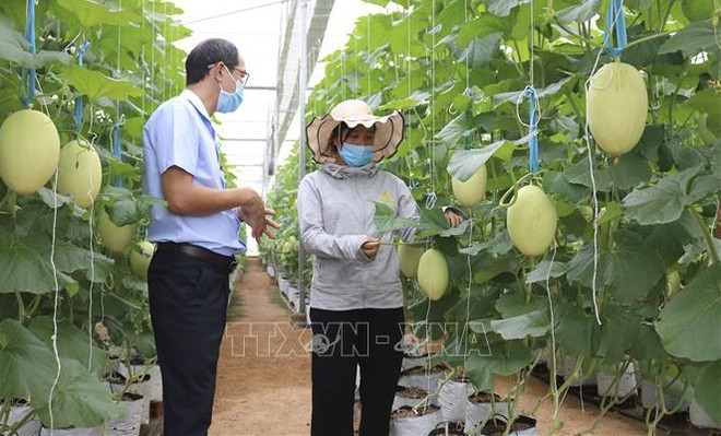 Développer la main-d'oeuvre du secteur agricole, base la plus sûre pour une amélioration de la productivité ảnh 2 Développer la main-d'oeuvre du secteur agricole, base la plus sûre pour une amélioration de la productivité ảnh 2
