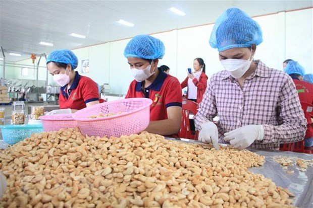 Une large potentialité reste pour la coopération Vietnam-Iran ảnh 1 Une large potentialité reste pour la coopération Vietnam-Iran ảnh 1