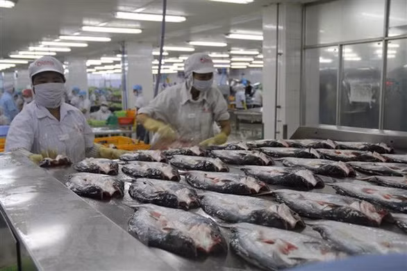 Les entreprises européennes plus positives à l'idée d'investir au Vietnam ảnh 1