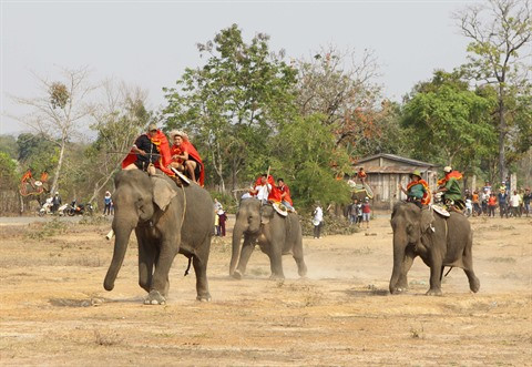 L’éléphant dans la tradition vietnamienne ảnh 1 L’éléphant dans la tradition vietnamienne ảnh 1