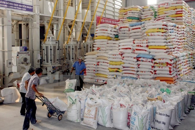 Le Vietnam fait don de 5.000 tonnes de riz à Cuba ảnh 1