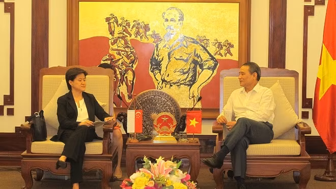 Vietnam - Singapour: coopération renforcée dans les transports et communications ảnh 1