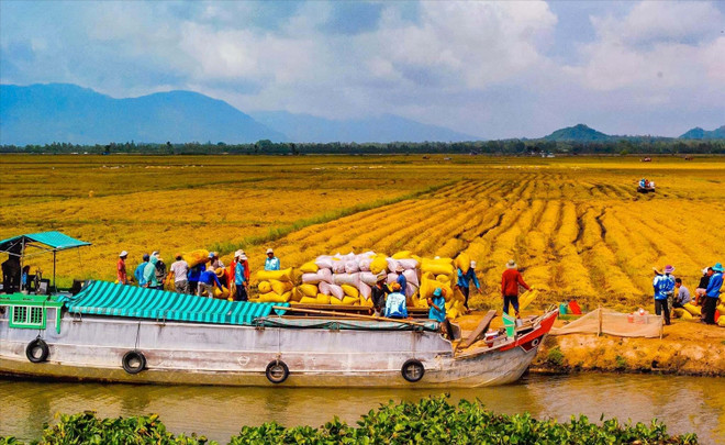 Accélération de la mise en œuvre du plan de développement du delta du Mékong ảnh 2 Accélération de la mise en œuvre du plan de développement du delta du Mékong ảnh 2