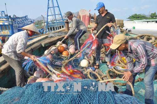 La CE fait le bilan des avancées vietnamiennes suite au "carton jaune" concernant la pêche illégale ảnh 1