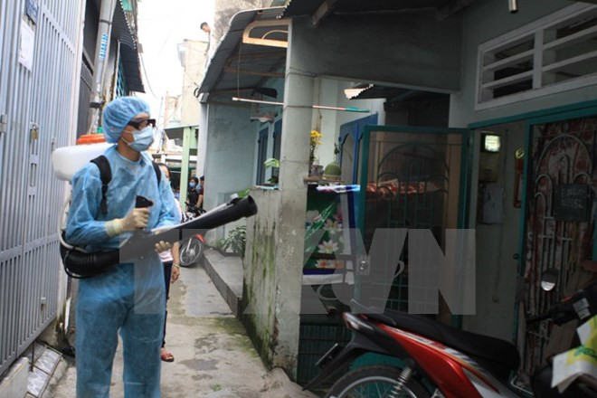 Deux nouveaux cas de Zika découverts à Hô Chi Minh-Ville ảnh 1