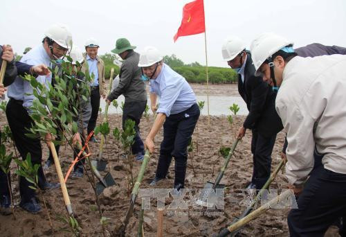 Mieux gérer les zones humides pour prévenir les risques de catastrophes ảnh 1