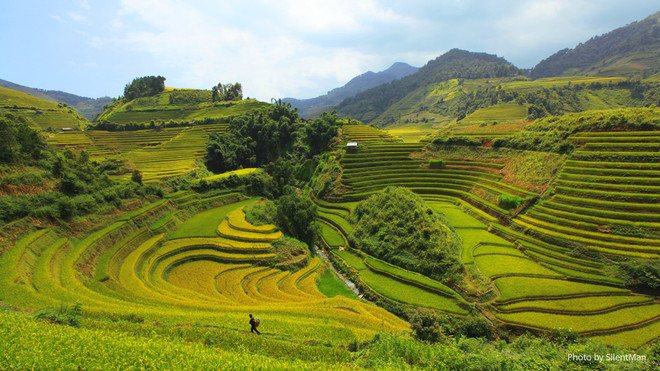 Homestay aux alentours de la Réserve nationale de Pu Luông ảnh 2 Homestay aux alentours de la Réserve nationale de Pu Luông ảnh 2