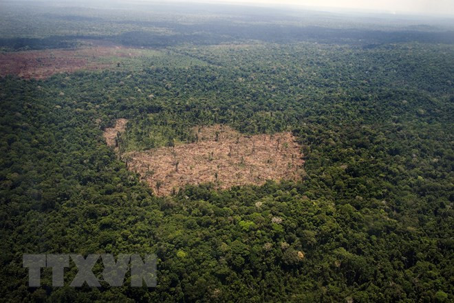 La Chine aide le Cambodge à protéger l'environnement ảnh 1