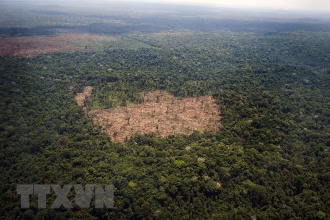 La Chine aide le Cambodge à protéger l'environnement ảnh 1