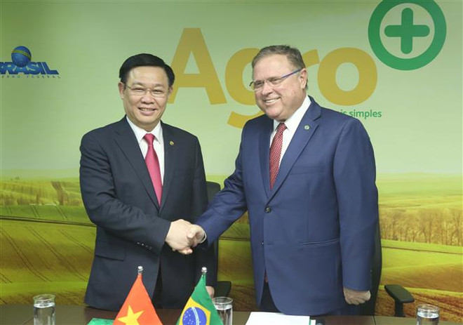 Le Vietnam et le Brésil dynamisent leur partenariat intégral ảnh 4 Le Vietnam et le Brésil dynamisent leur partenariat intégral ảnh 4