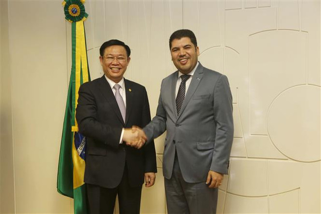 Le Vietnam et le Brésil dynamisent leur partenariat intégral ảnh 3 Le Vietnam et le Brésil dynamisent leur partenariat intégral ảnh 3