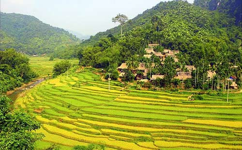 Homestay aux alentours de la Réserve nationale de Pu Luông ảnh 1 Homestay aux alentours de la Réserve nationale de Pu Luông ảnh 1