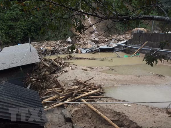 Message de sympathie au Vietnam suite aux crues ảnh 1