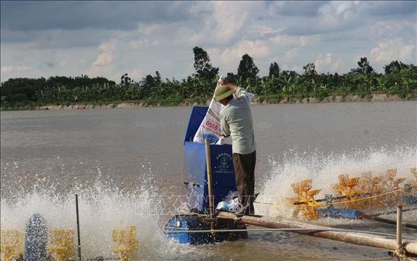 Adoption du programme national de développement de l’aquaculture pour la période 2021-2025 ảnh 2 Adoption du programme national de développement de l’aquaculture pour la période 2021-2025 ảnh 2